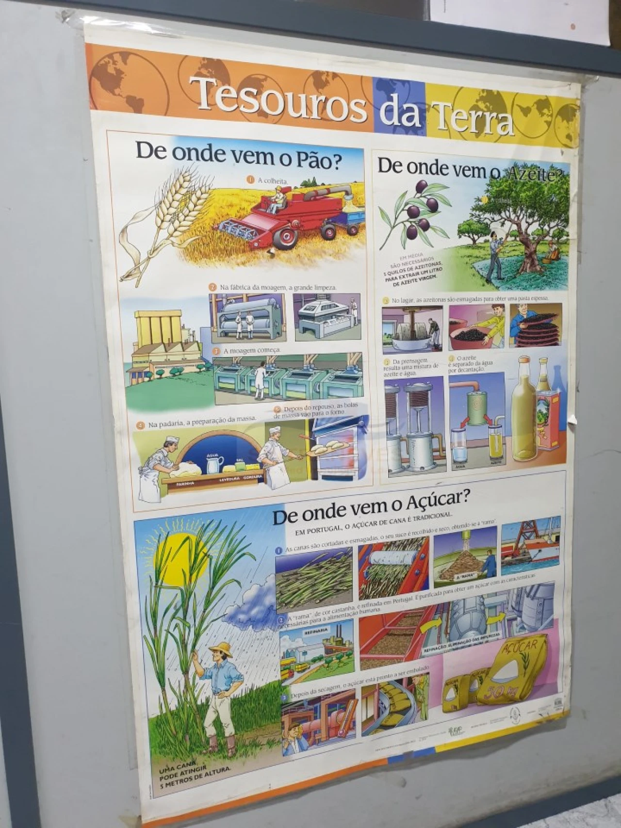 Negócio para Venda em Venteira Foto 20