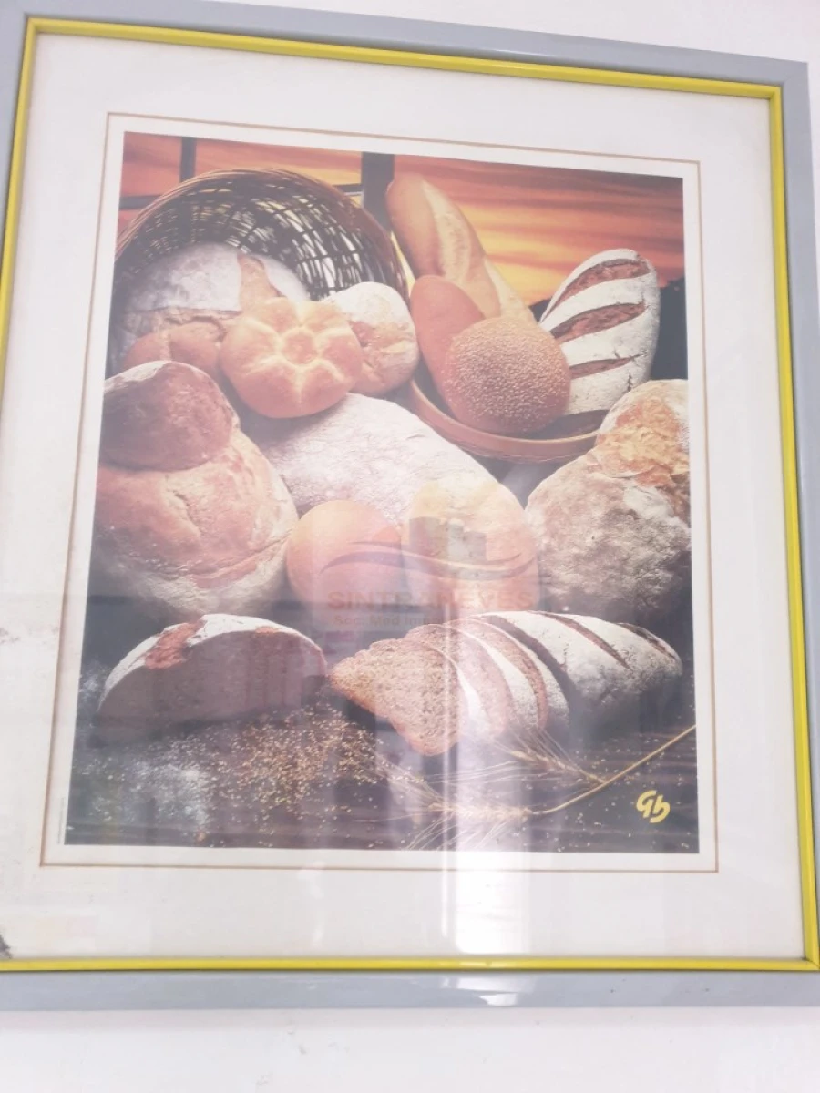 Negócio para Venda em Venteira Foto 17