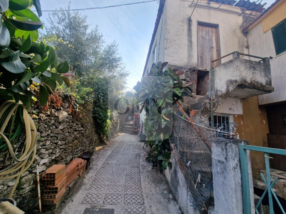 Moradia T3 para Venda em Lobrigos (São Miguel e São João Baptista) e Sanhoane Foto 1