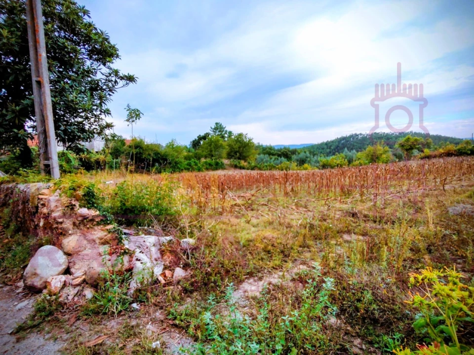 Moradia T3 para Venda em Pombeiro da Beira Foto 7