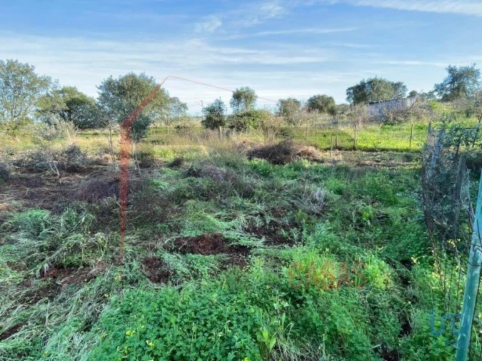 Terreno para Venda em Palmela