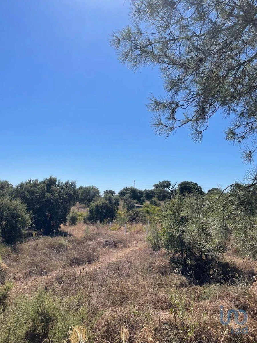 Terreno para Venda em Palmela Foto 4