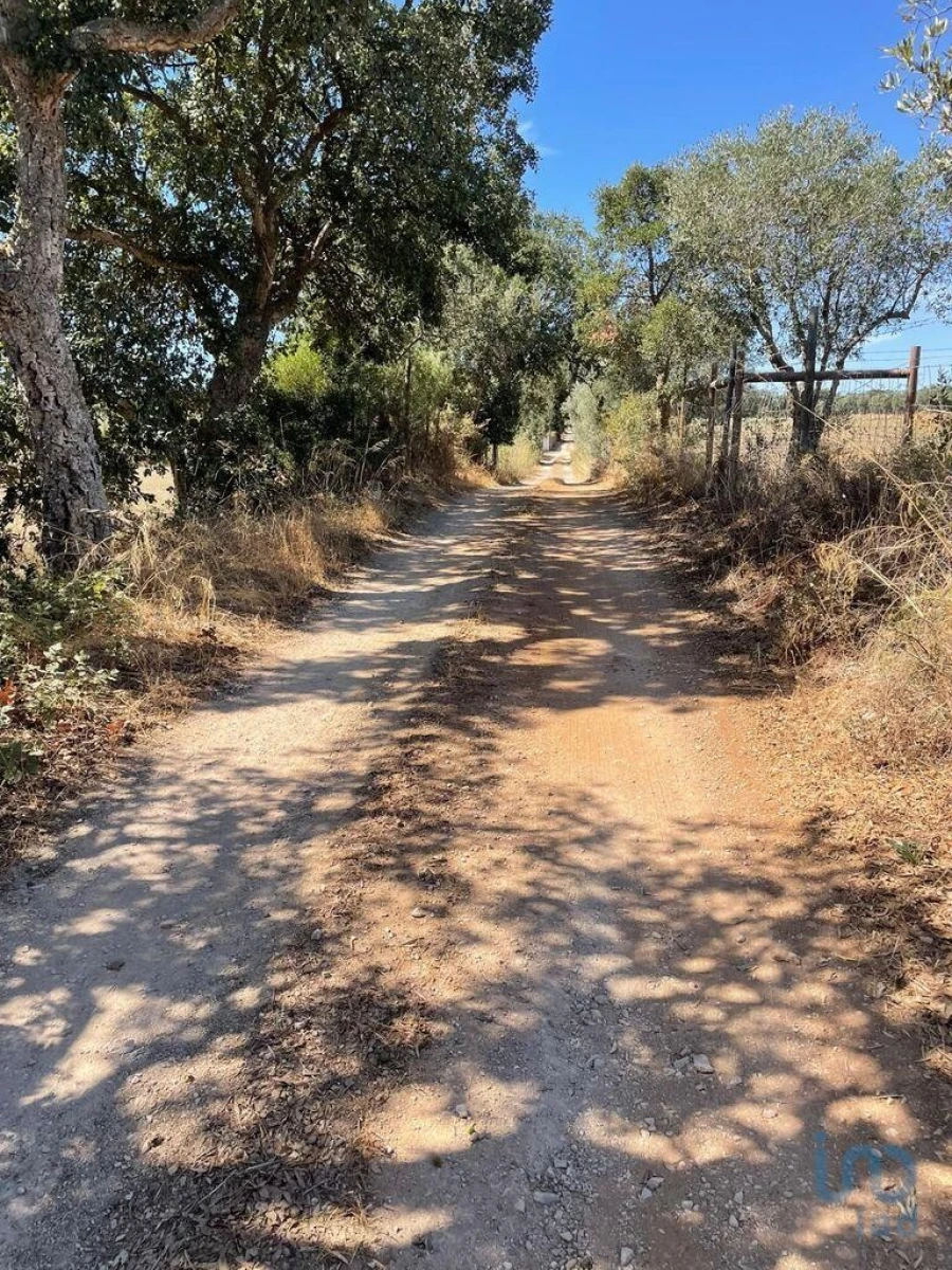 Terreno para Venda em Palmela Foto 3