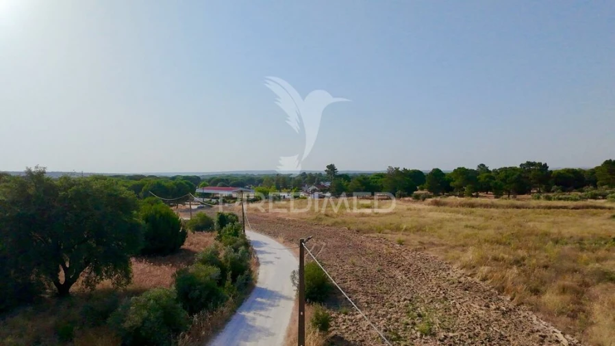 Terreno para Venda em São Martinho Foto 5