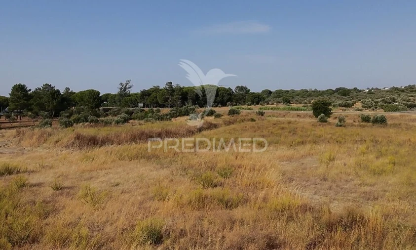 Terreno para Venda em São Martinho Foto 4