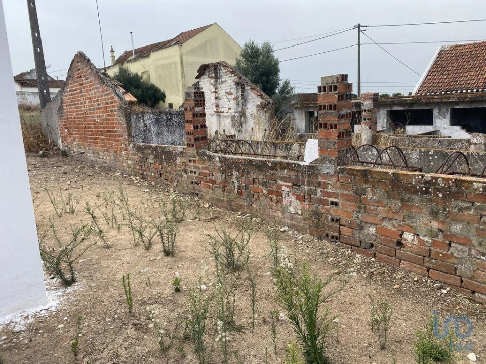 Terreno para Venda em São Francisco Foto 4