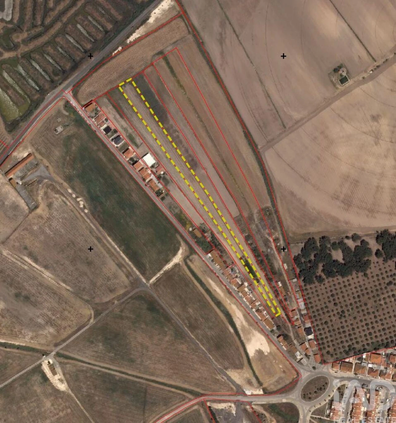 Terreno para Venda em São Francisco Foto 15