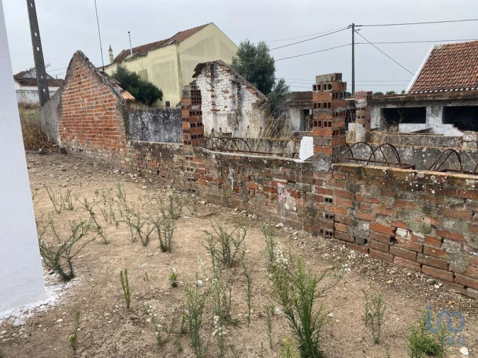 Terreno para Venda em São Francisco Foto 4
