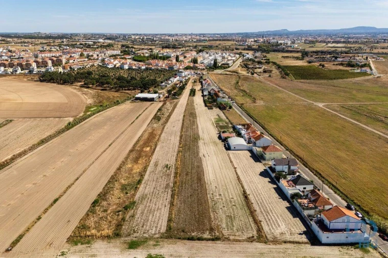 Terreno para Venda em São Francisco Foto 8