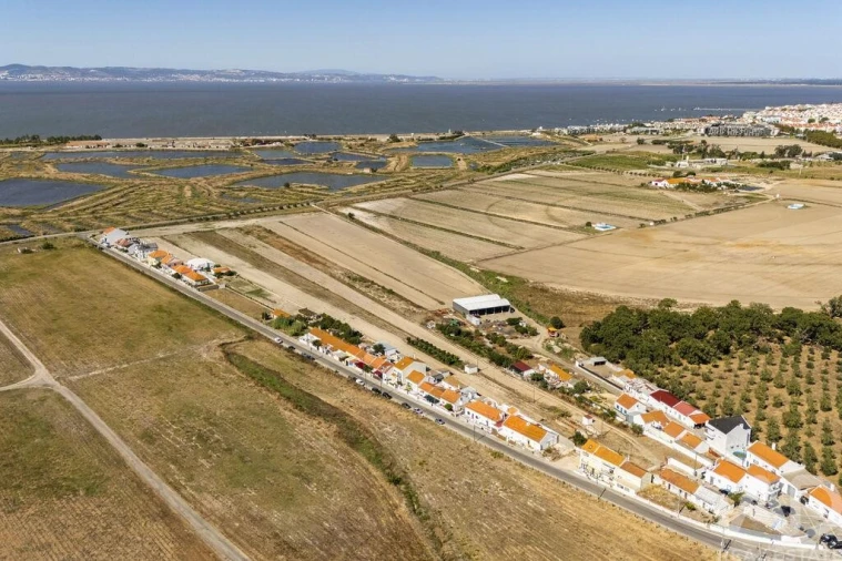 Terreno para Venda em São Francisco Foto 25