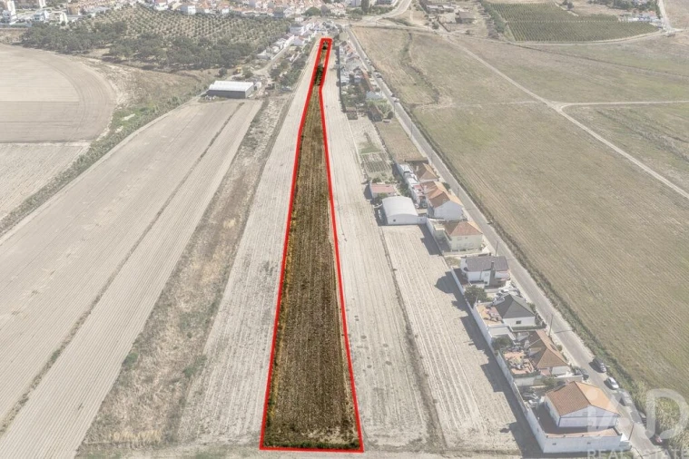 Terreno para Venda em São Francisco Foto 23