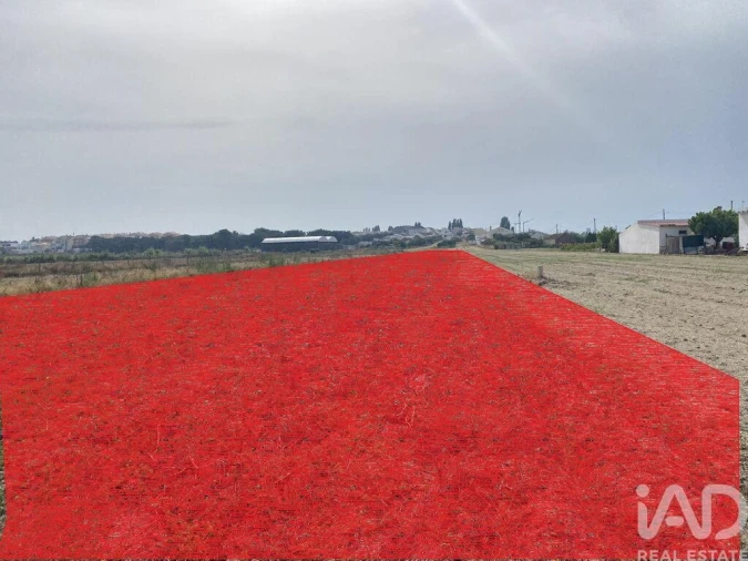 Terreno para Venda em São Francisco Foto 16