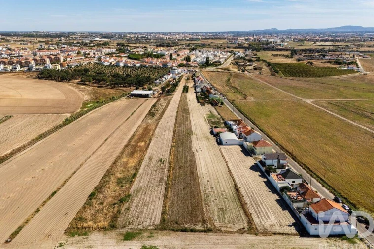 Terreno para Venda em São Francisco Foto 24