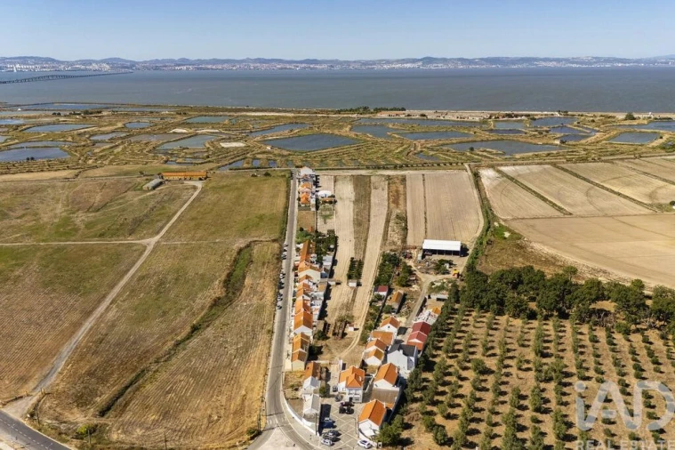 Terreno para Venda em São Francisco Foto 19