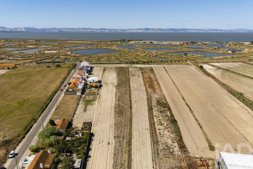Terreno para Venda em São Francisco Foto 22