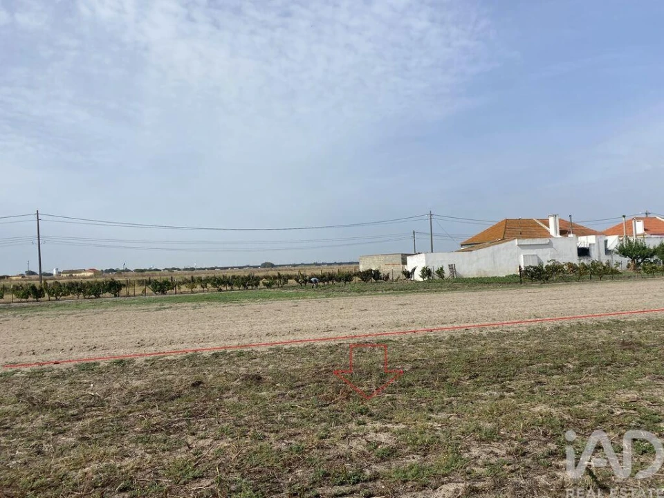 Terreno para Venda em São Francisco Foto 17