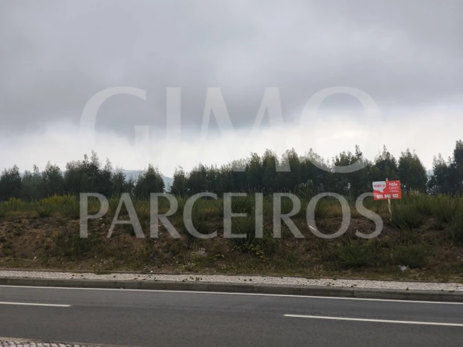 Terreno para Venda em O. Azeméis, Riba-Ul, Ul, Macinhata Seixa, Madail Foto 3