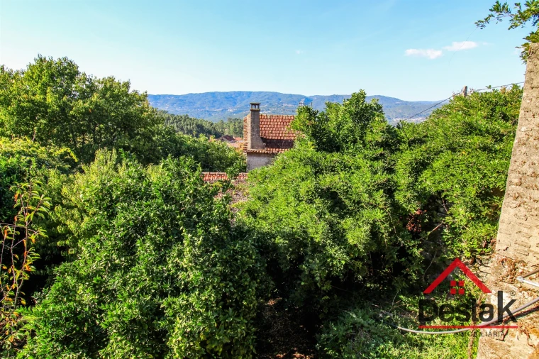 Moradia T3 para Venda em Ribeiradio Foto 22