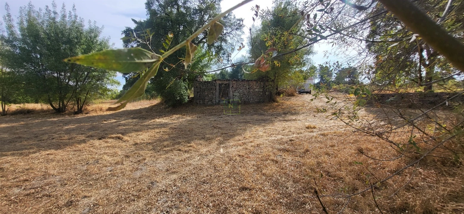 Quinta T0 para Venda em Póvoa de Rio de Moinhos e Cafede Foto 10