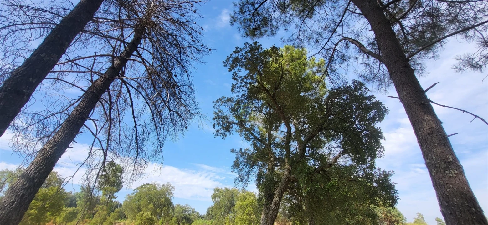 Quinta T0 para Venda em Póvoa de Rio de Moinhos e Cafede Foto 17