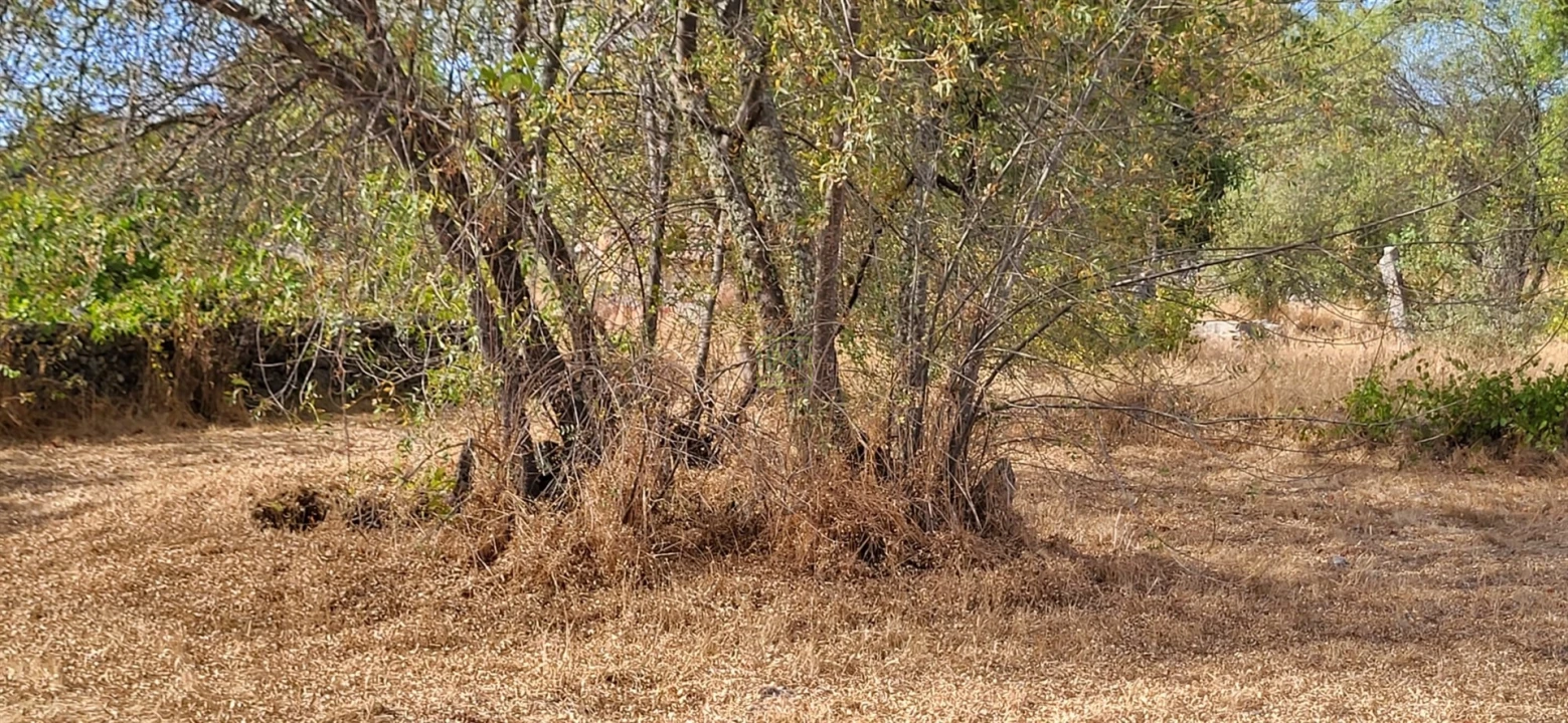Quinta T0 para Venda em Póvoa de Rio de Moinhos e Cafede Foto 24