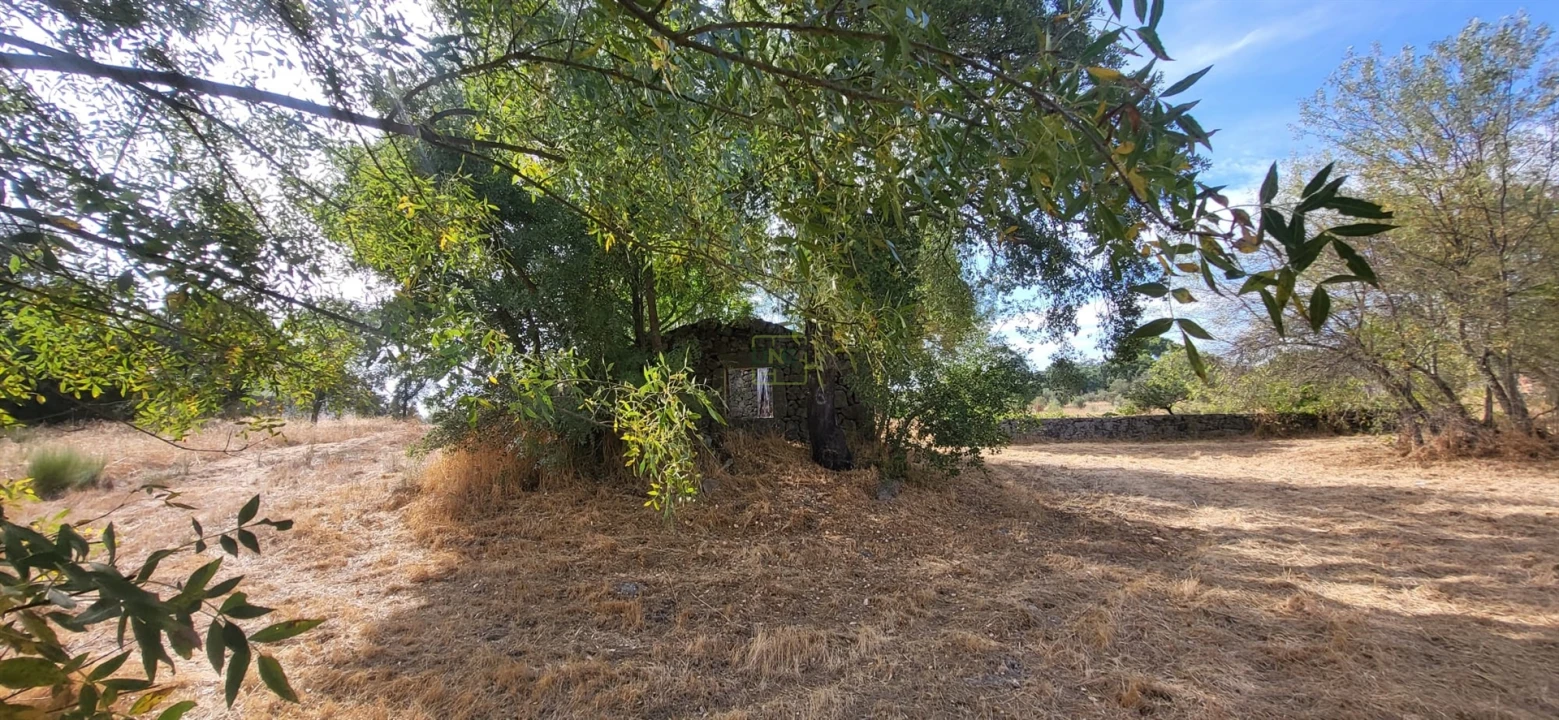 Quinta T0 para Venda em Póvoa de Rio de Moinhos e Cafede Foto 19