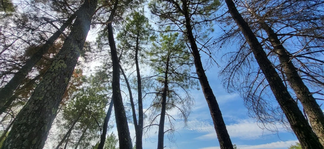 Quinta T0 para Venda em Póvoa de Rio de Moinhos e Cafede Foto 16