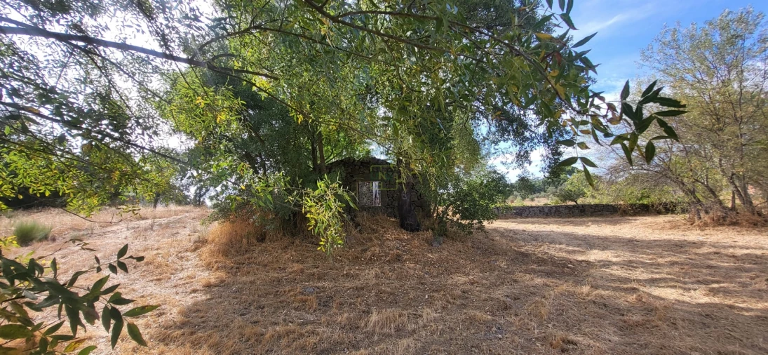 Quinta T0 para Venda em Póvoa de Rio de Moinhos e Cafede Foto 19
