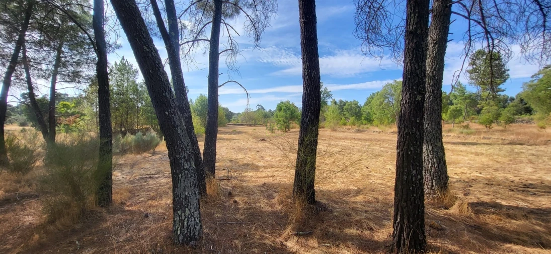 Quinta T0 para Venda em Póvoa de Rio de Moinhos e Cafede Foto 13
