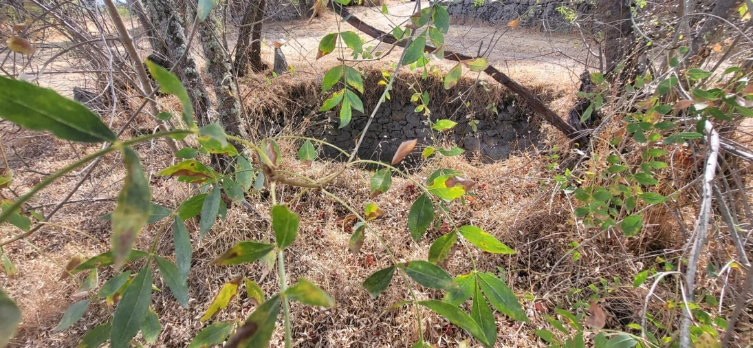 Quinta T0 para Venda em Póvoa de Rio de Moinhos e Cafede Foto 7