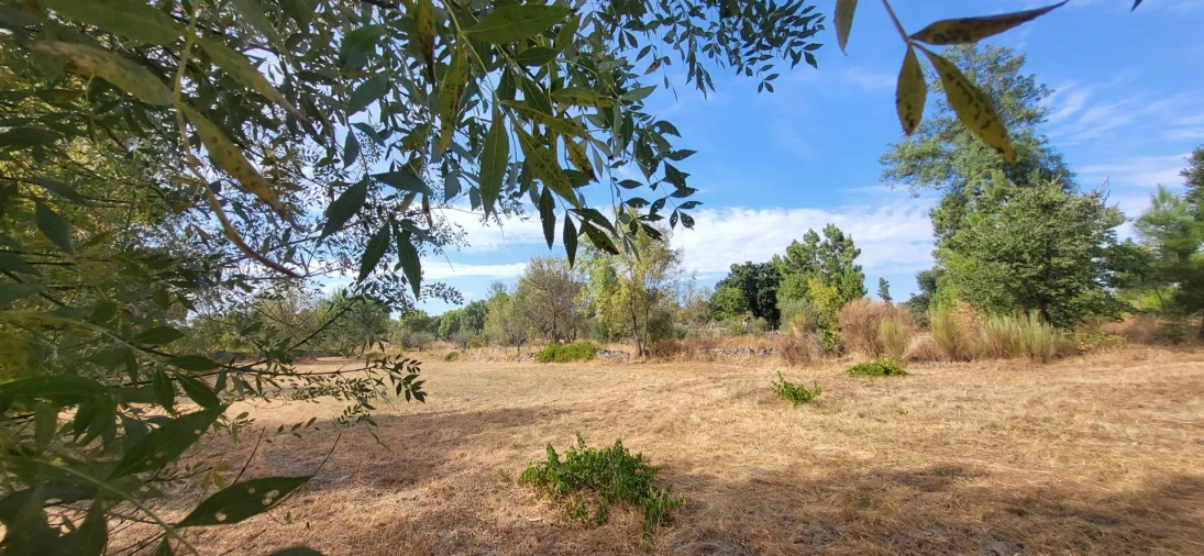 Quinta T0 para Venda em Póvoa de Rio de Moinhos e Cafede Foto 20