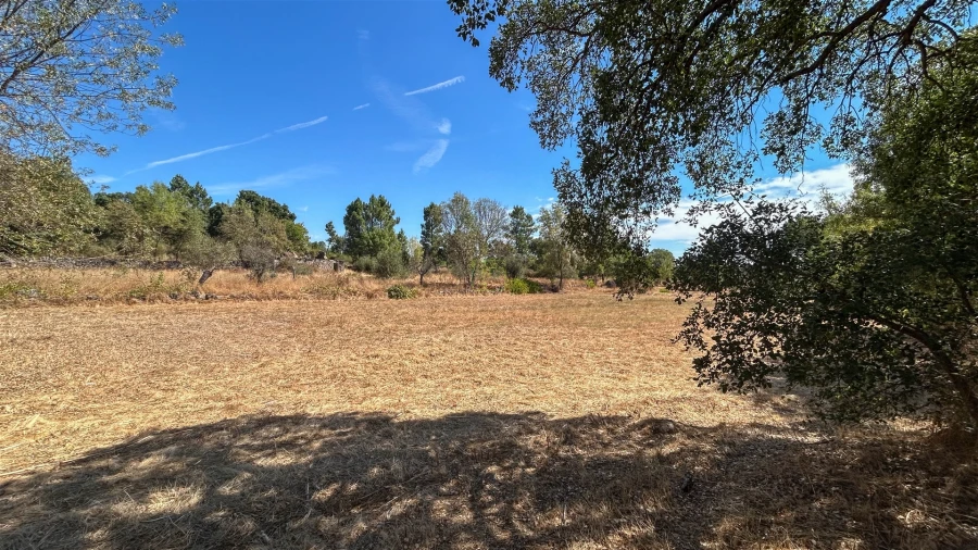 Quinta T0 para Venda em Póvoa de Rio de Moinhos e Cafede Foto 55