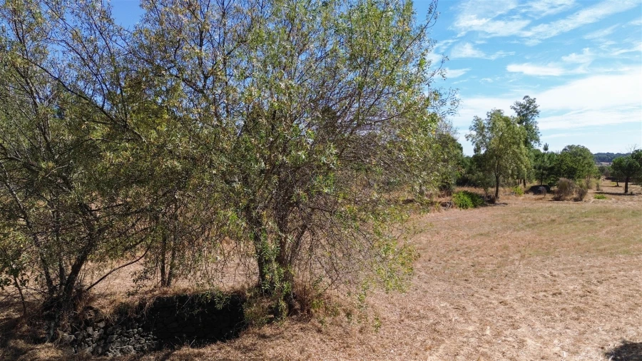 Quinta T0 para Venda em Póvoa de Rio de Moinhos e Cafede Foto 29