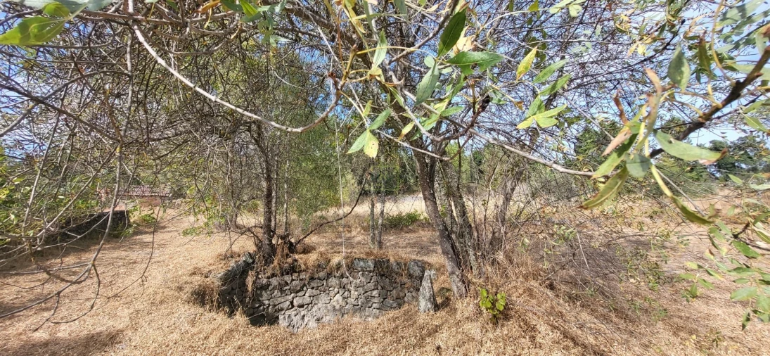 Quinta T0 para Venda em Póvoa de Rio de Moinhos e Cafede Foto 6