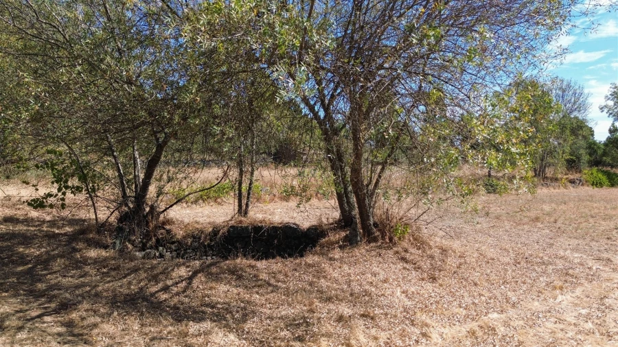 Quinta T0 para Venda em Póvoa de Rio de Moinhos e Cafede Foto 25