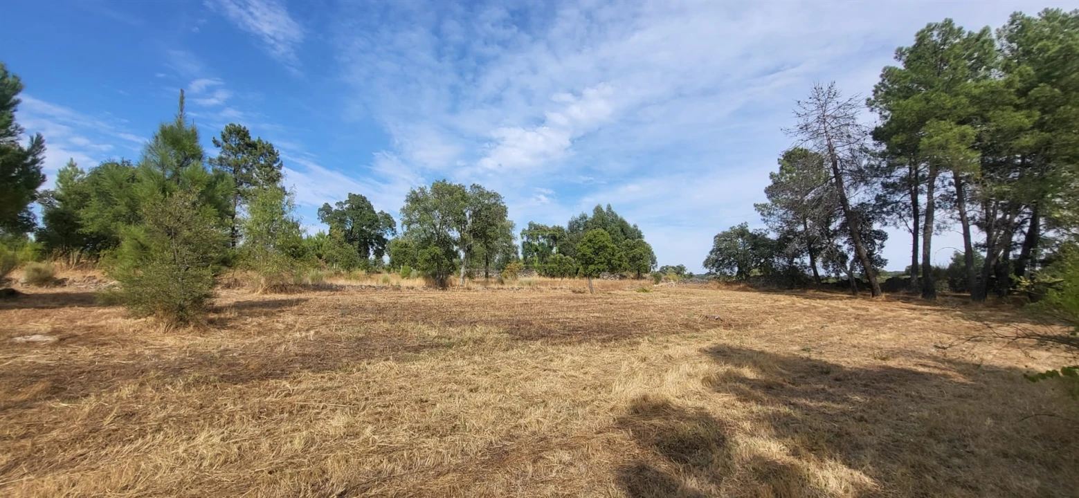 Quinta T0 para Venda em Póvoa de Rio de Moinhos e Cafede Foto 21