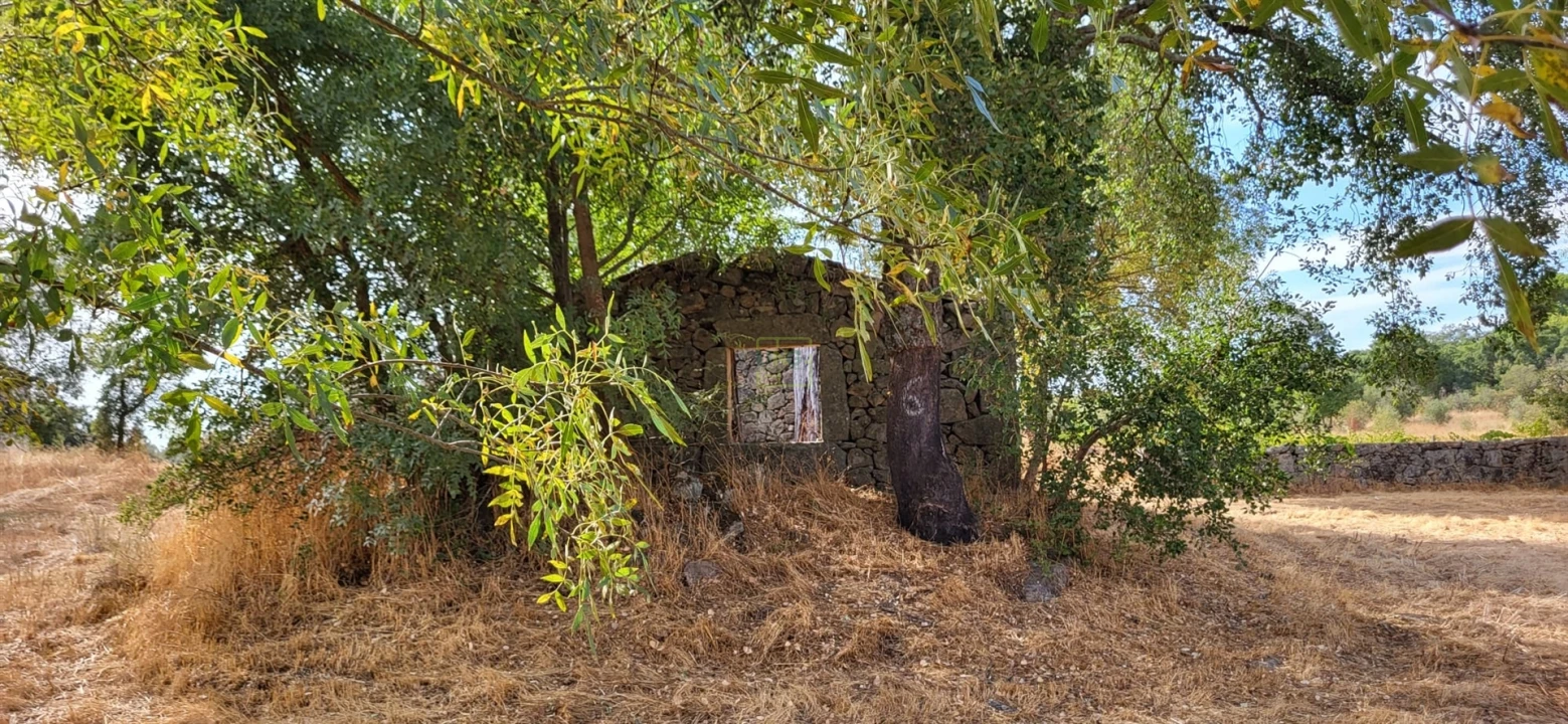 Quinta T0 para Venda em Póvoa de Rio de Moinhos e Cafede Foto 22