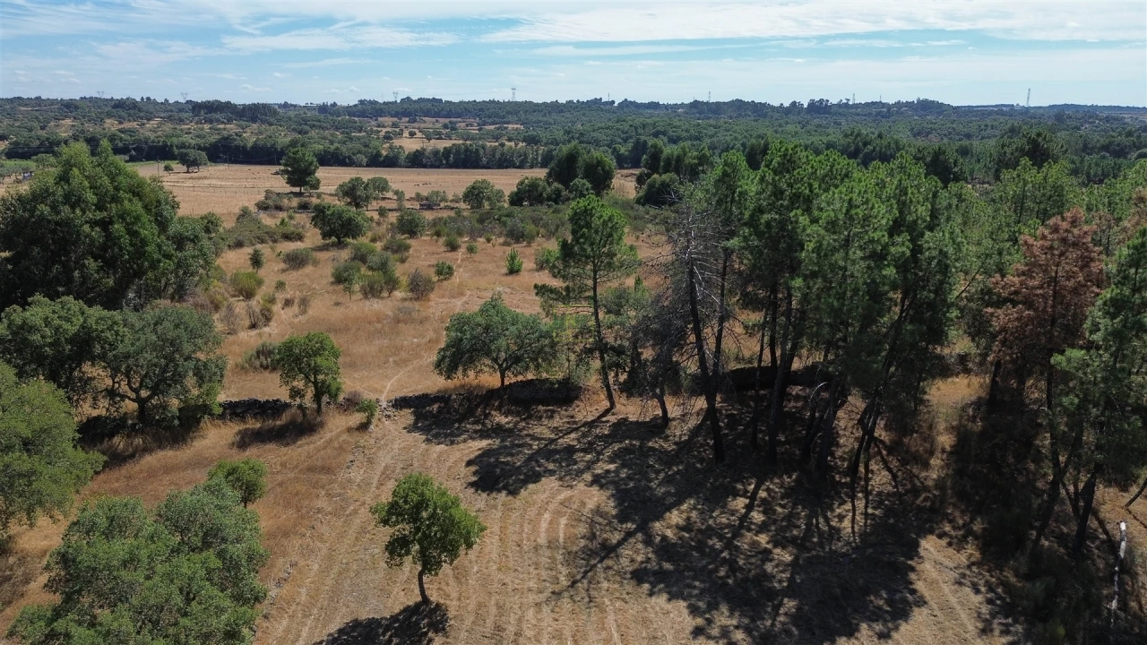Quinta T0 para Venda em Póvoa de Rio de Moinhos e Cafede Foto 32