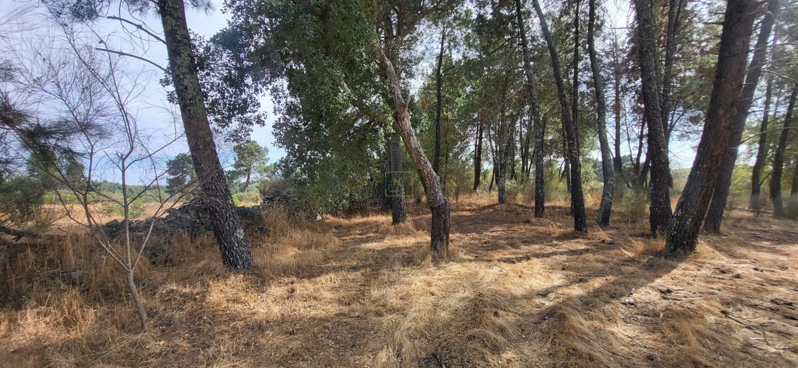 Quinta T0 para Venda em Póvoa de Rio de Moinhos e Cafede Foto 14
