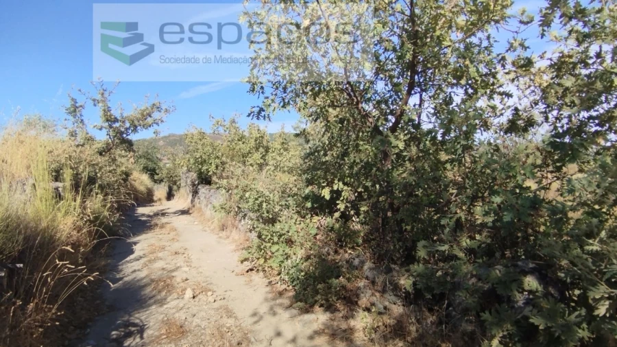 Terreno para Venda em Salvador Foto 9
