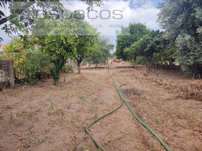 Moradia T4 para Venda em Escalos de Cima e Lousa Foto 30