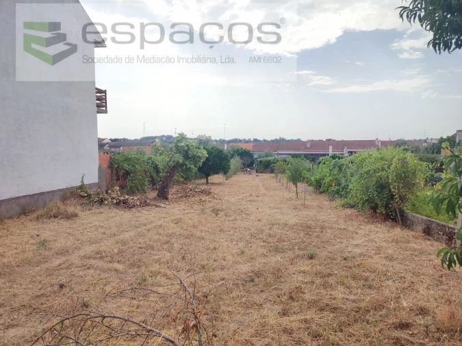 Moradia T4 para Venda em Escalos de Cima e Lousa Foto 36