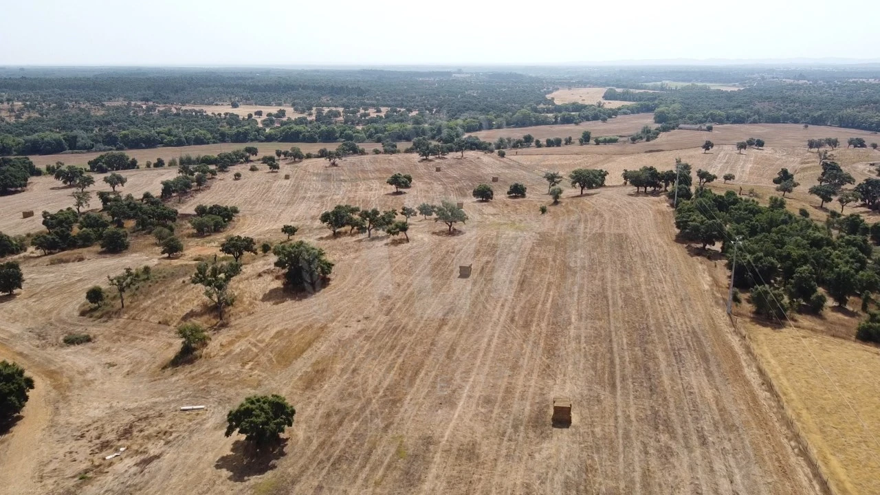 Quinta T1 para Venda em São Domingos e Vale de Água Foto 2