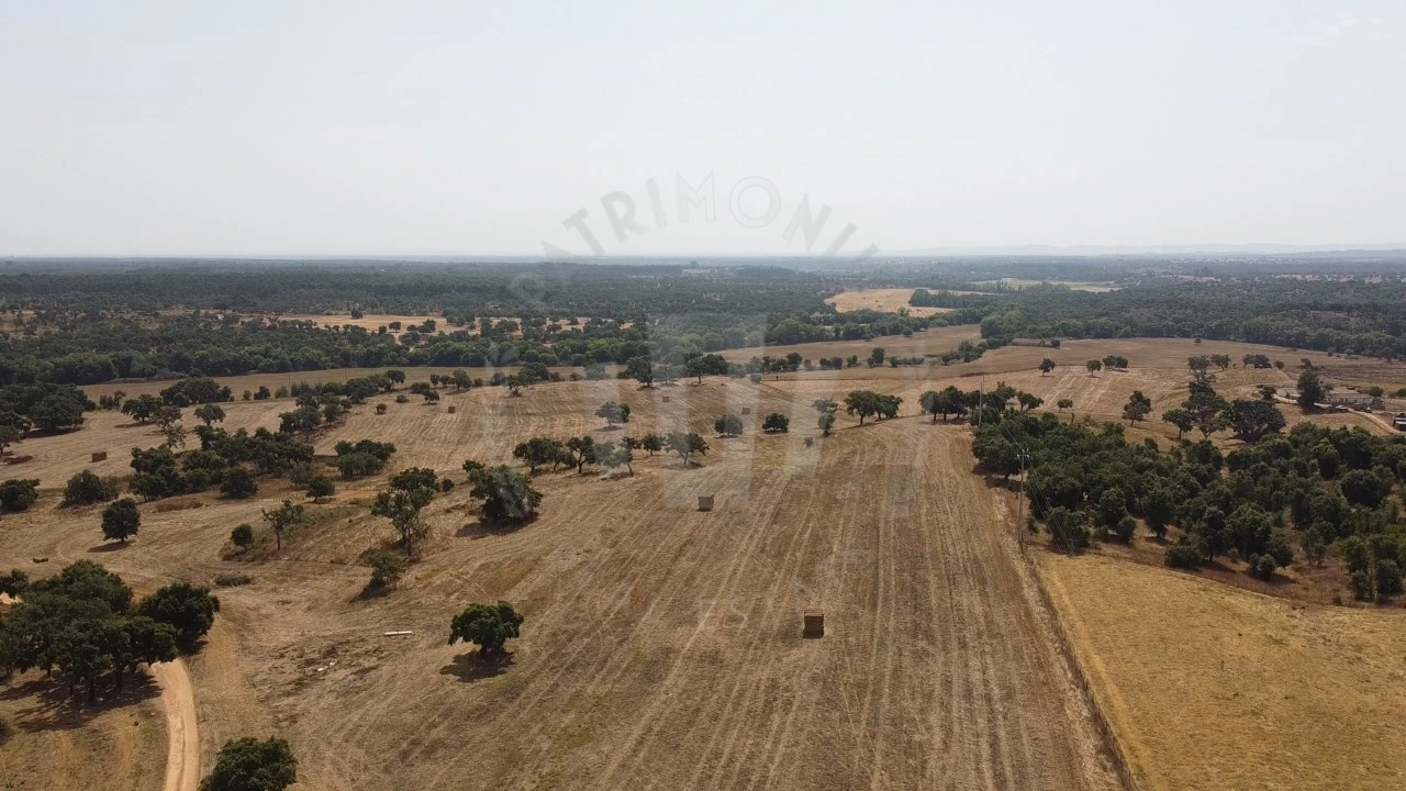 Quinta T1 para Venda em São Domingos e Vale de Água Foto 3