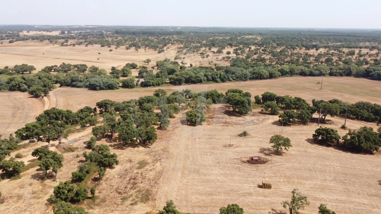 Quinta T1 para Venda em São Domingos e Vale de Água Foto 4
