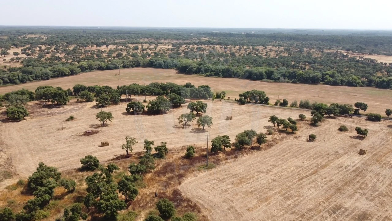 Quinta T1 para Venda em São Domingos e Vale de Água Foto 5