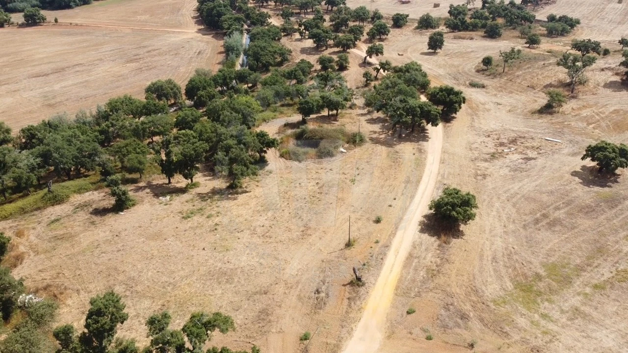 Quinta T1 para Venda em São Domingos e Vale de Água Foto 17