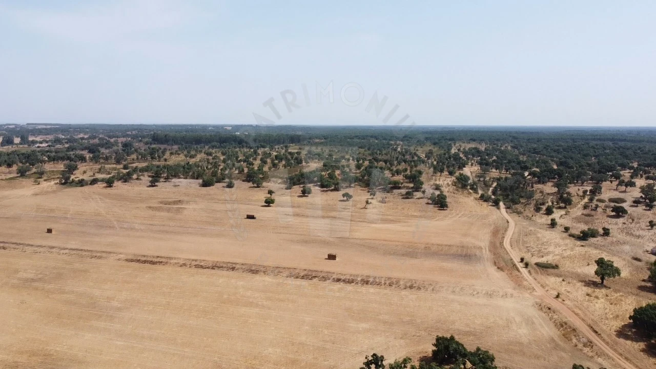 Quinta T1 para Venda em São Domingos e Vale de Água Foto 25