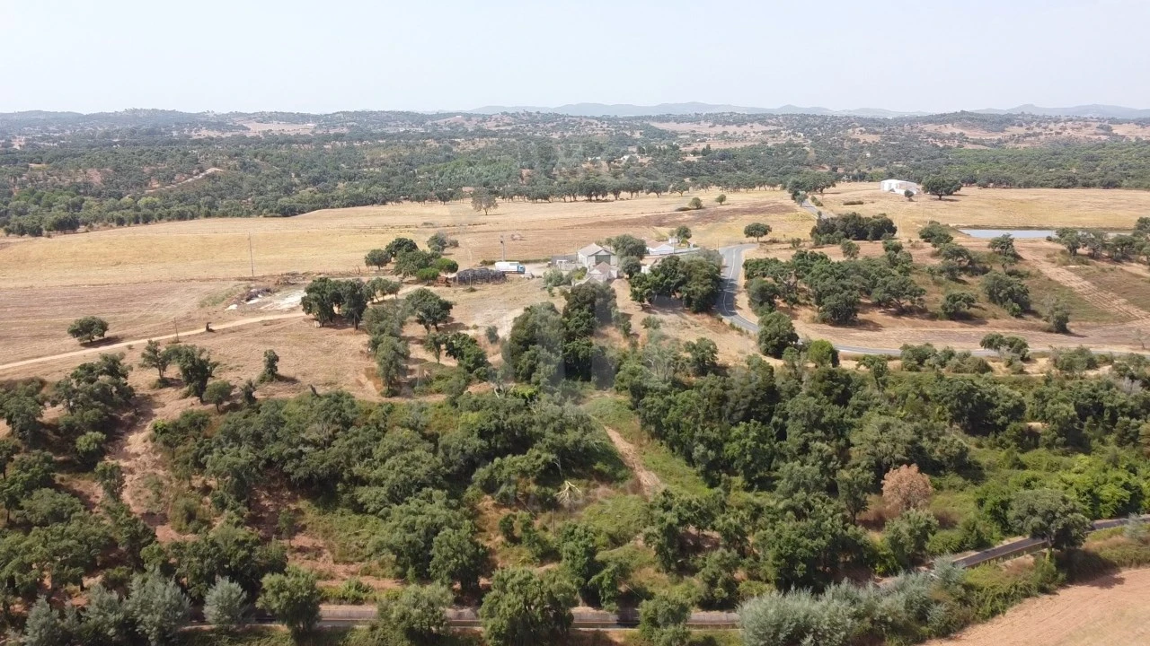 Quinta T1 para Venda em São Domingos e Vale de Água Foto 27