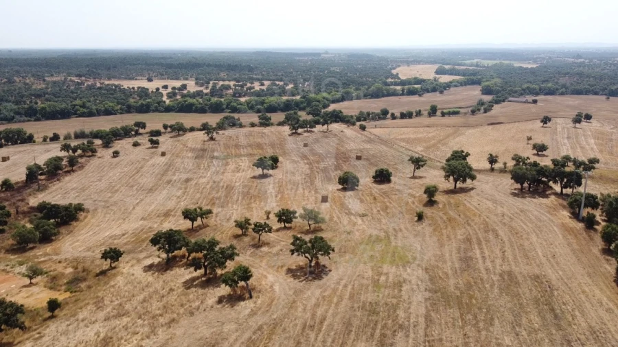 Quinta T1 para Venda em São Domingos e Vale de Água